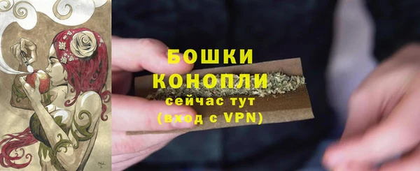 PSILOCYBIN Киренск