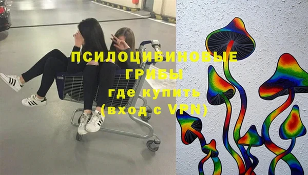 экстази Богородицк