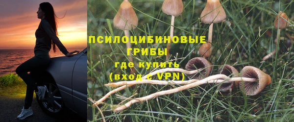 PSILOCYBIN Киренск
