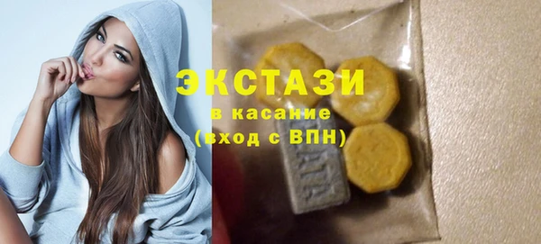 ECSTASY Богданович