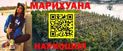 мдпв Донской