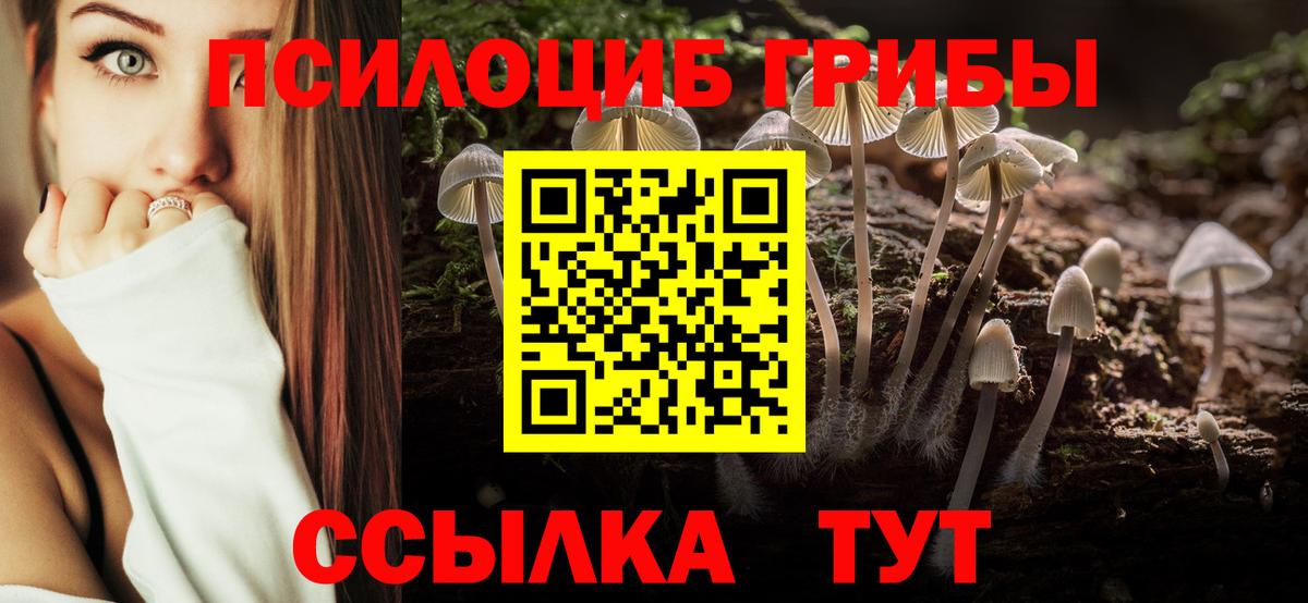Псилоцибиновые грибы MAGIC MUSHROOMS  Псилоцибиновые грибы Psilocybe  Вход с VPN  Новосибирск 