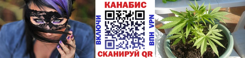 Канабис OG Kush  где найти наркотики  Новосибирск 